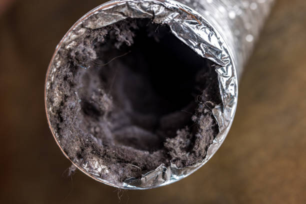 Best Air Duct Cleaning Near Me  in Murphysboro, IL